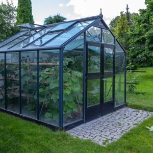 top tips for greenhouse restoration guernsey
