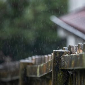 protect your garden fence from the rain