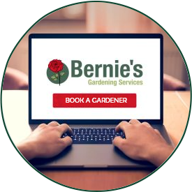 laptop screen showing an option to book a gardener with bernie's gardening services